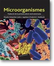 Microorganismes